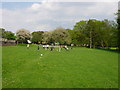 NZ3553 : A local park in Herrington, Sunderland by Brian Abbott