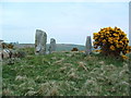NO8390 : Standing Stones and Ring Cairn by Alan Thomson