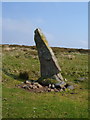 SX6965 : Menhir near Harbourne Head by Derek Harper