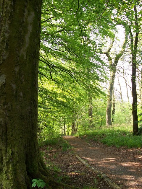 Daff Glen footpath, Inverkip © Thomas Nugent :: Geograph Britain and ...