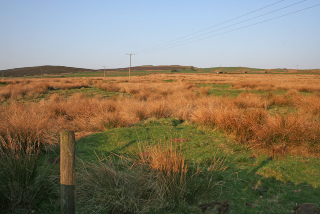 Moorland pasture at Moss Top