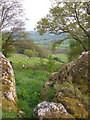 Footpath near Great Parford