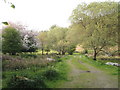 National Trust path at Forder