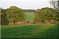 Farmland in the Peak District