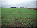 Looking towards Northwold Farm