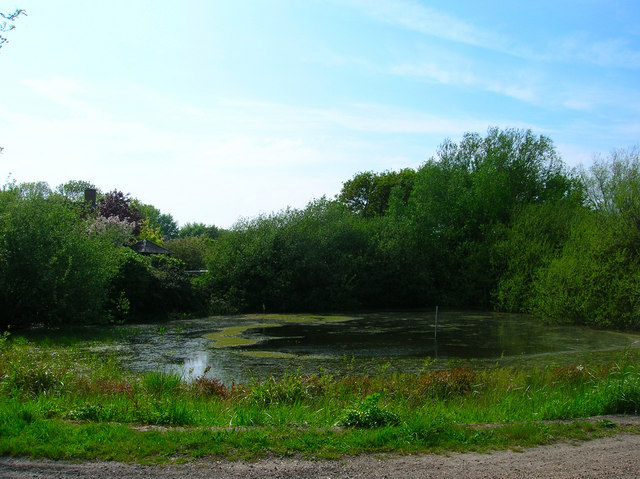 Pond, Church Farm, Berwick