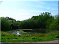 Pond, Church Farm, Berwick