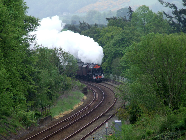 Steam train in tree lined cutting