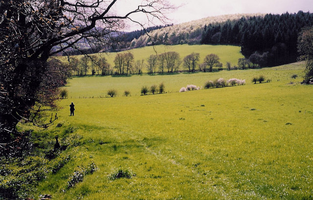 South Shropshire hills and woodland