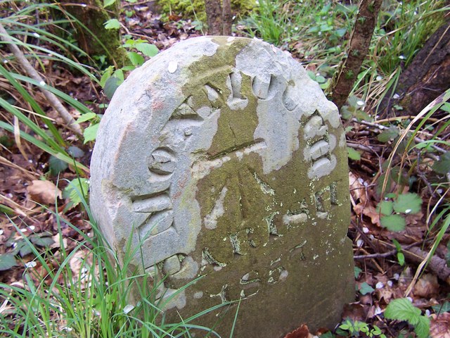 Boundary Stone in King's Wood
