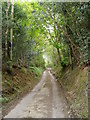 Country road near Bryn Saith Marchog