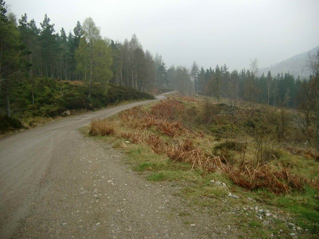 The track to Cougie