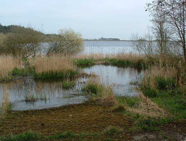 Reservoir at Ballymenoch