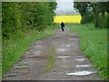 A Lone Walker on the Coast to Coast