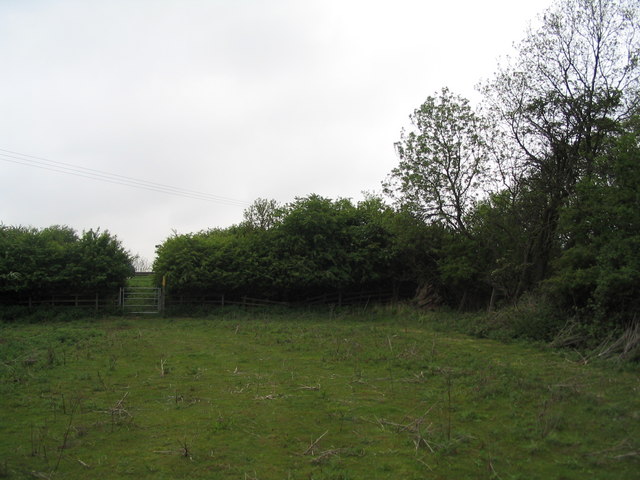South-west corner of Morkery Wood