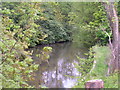 Overgrown pond / lake, Endcliffe Park