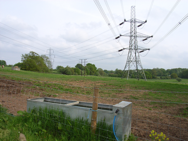 Pylons in Dogmersfield Park