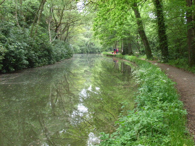 The Basingstoke Canal, near Dogmersfield