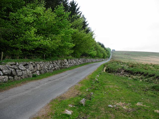 Towards Holming Beam - Dartmoor