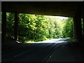 Under the motorway