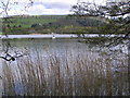 Butterstone Loch