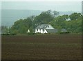 Green against the furrows