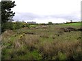 Tanderagee Townland