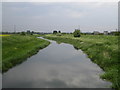 SK9565 : River Witham by Matthew Smith