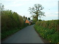 Mile Bank Road and Chinnel Farm