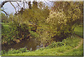 Wey South Path at East Whipley Farm.