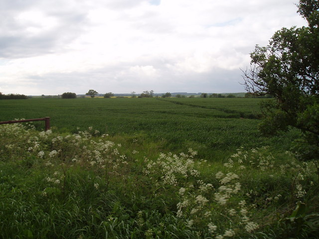 Paths through a field