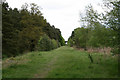 Disused railway line near Glamis