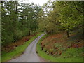 SH7750 : Road through the forestry above Penmachno by David Medcalf