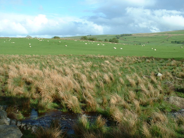 Farmland near Glasfryn