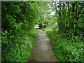 Bridleway in Edenthorpe