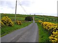 Road at Gortnagarn