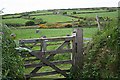 Gate and Fields