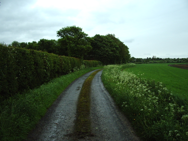The Road to Much Hoole Marsh House