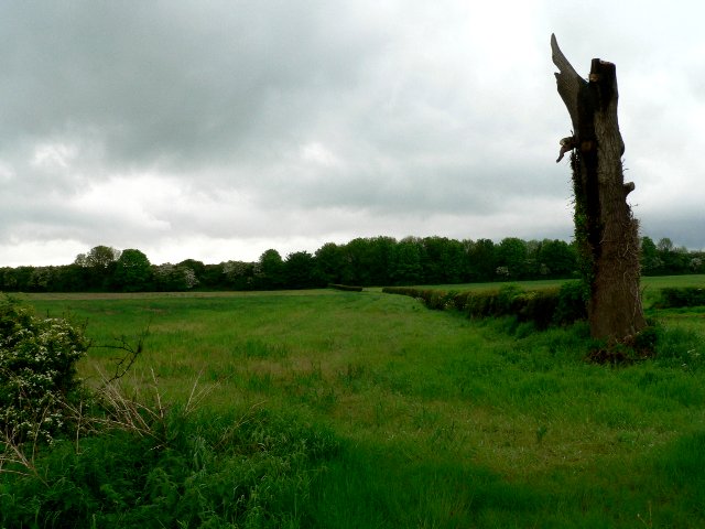 Grassland near North Cave © Roger Gilbertson cc-by-sa/2.0 :: Geograph ...