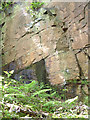 Sandstone Face at Appley Bridge