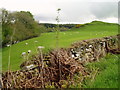 View to Wester Torrie Fort and Dun