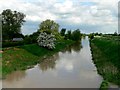 Market Weighton Canal