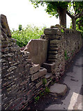 ST6675 : Stile on Rodway Road by Linda Bailey