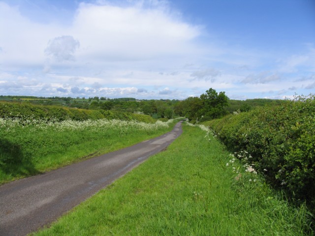 Bosworth Road