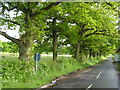 Kiln Lane, Bethersden