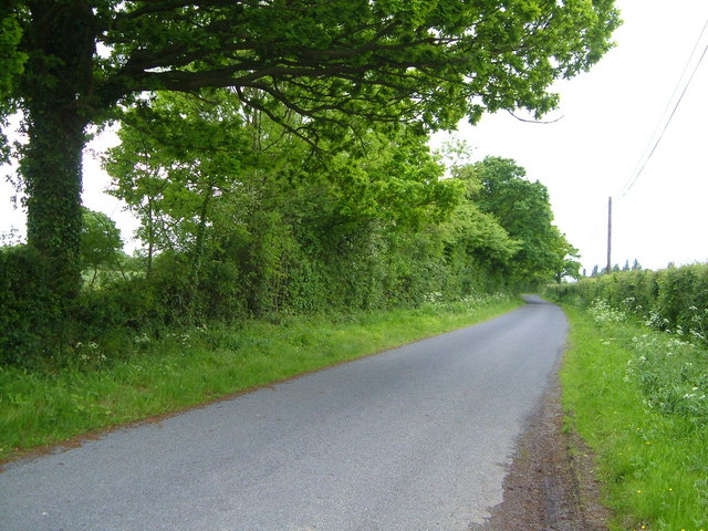 Lane near Biddenden