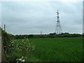 Fields and Pylons