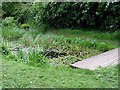 Vinny Green Wildlife Pond