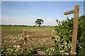 Footpath to Brills Hill