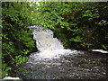 SD9221 : Waterfall, Ramsden Clough by michael ely